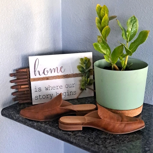 CL by Laundry Mules | Size 9.5 - Picture 2 of 4